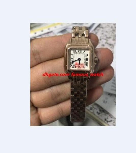 

new version women watch wristwatch quartz 22mm wgpn0006 rose gold stainless steel bracelet luxury lady watch ing, Slivery;brown