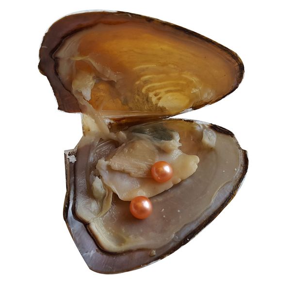 

20 pieces/lot 6-7 mm twins freshwater oyster with twins pearls mixed 28 colors pearl in vacuum package for jewelry gift, White