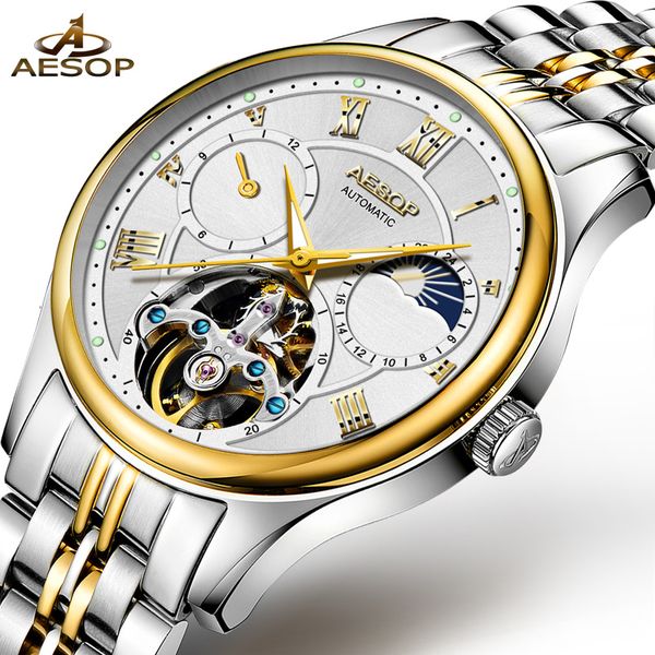 

aesop automatic mechanical watch men gold mens watches brand luxury waterproof skeleton male clock men relogio masculino j190706, Slivery;brown