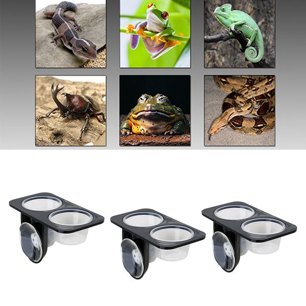 

3 x feeding bowl water bowl double bowl with suction cup for terrarium reptiles