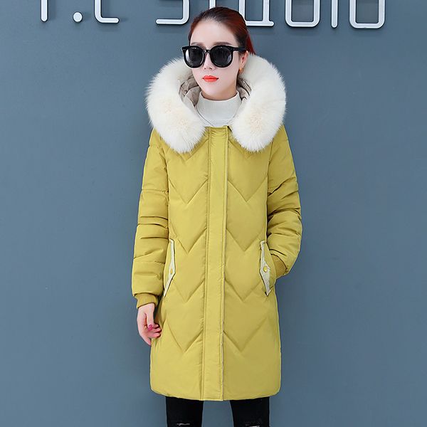 

women solid hooded down coat 2019 new korean winter fashion splice fur collar zipper button pockets thickening long outerwear, Black