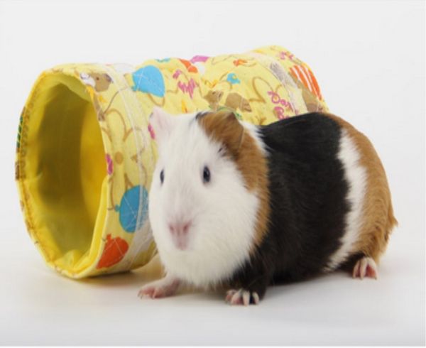 

hamster белка tunnel игѬђка bird cage tubes hedgehog инилла house cave sm л.л. живоне акеђаѬ зоо