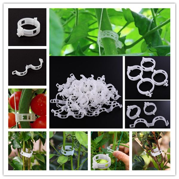 

50 Trellis Tomato Clips Supports/Connects Plants/Vines Trellis/Twine/Cages Plant Vine Tomato Vegetable Fastening Clip Garden