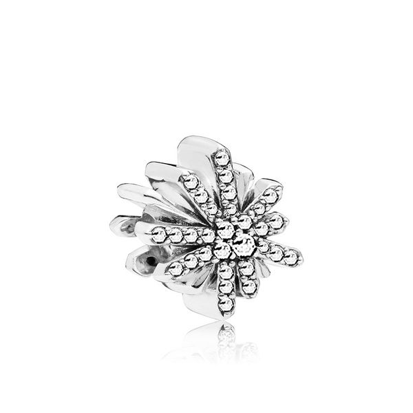 

snowflake charm bead fashion women jewelry stunning design european style fit for diy bracelet panza004-48, Bronze;silver