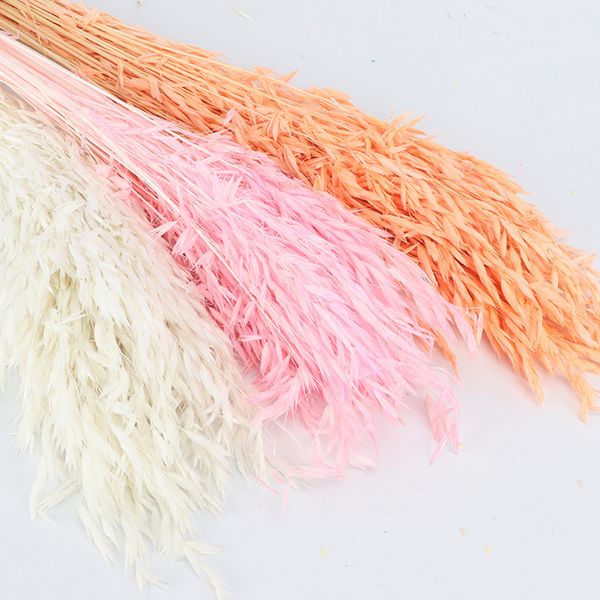 

natural dried fresh flower bundle preserved flower diy wedding background wall wheat p pgraphy props