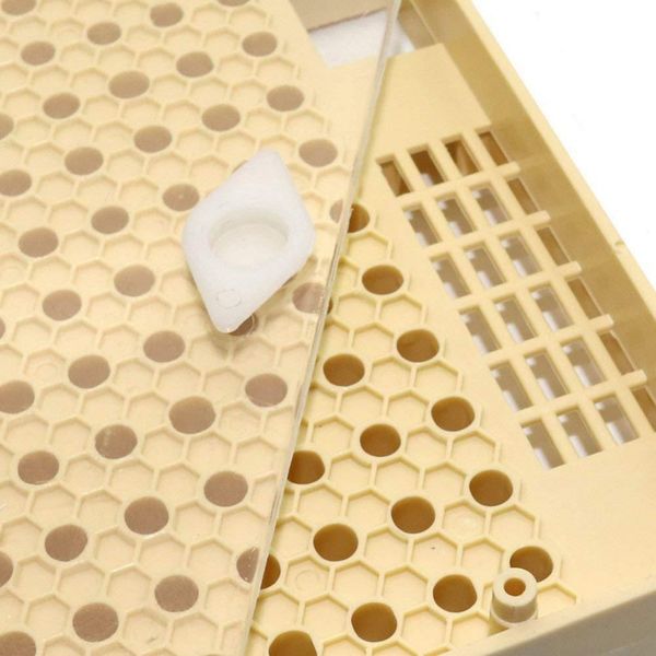 

beekeeping bee queen rearing cell box plastic honeycombs bee cage isolation apiculture tools other garden tools
