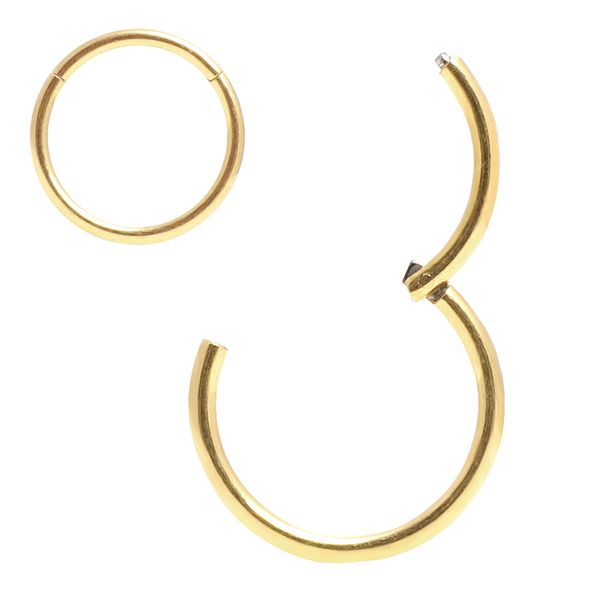 

20g 18g 16g 14g 316l surgical steel helix daith tragus piercing body jewelry hinged segment nose ring hoop lip rings earrings, Slivery;golden