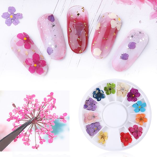 

mixed natural nail dried flower diy 3d pressed blossom flower leaf slider sticker polish manicure nail art decoration new arrive, Silver;gold