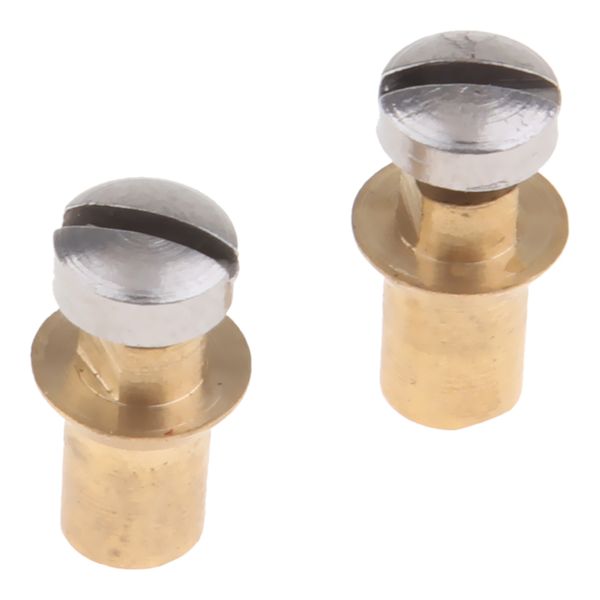 

2 pieces alto tenor soprano saxophone sax adjustment replacement screw