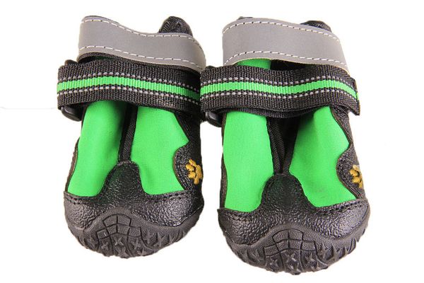 scarpe trekking cane