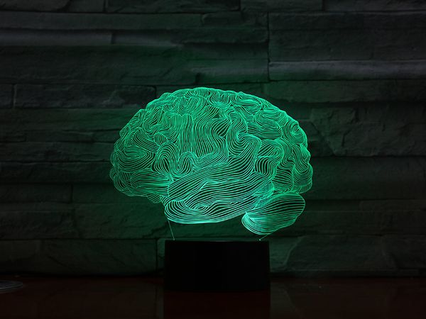 

3d lamp organ the brain pretty present for children for living room decoration dropshipping led night light lamp personalized
