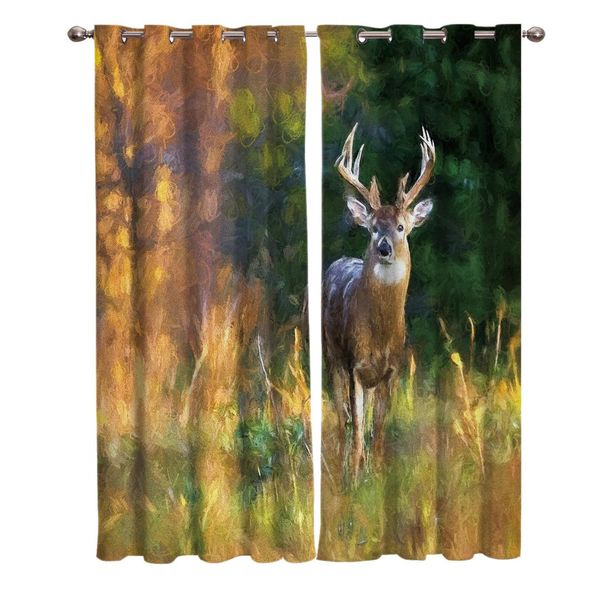 

red deer in the morning sun window living room kitchen outdoor indoor