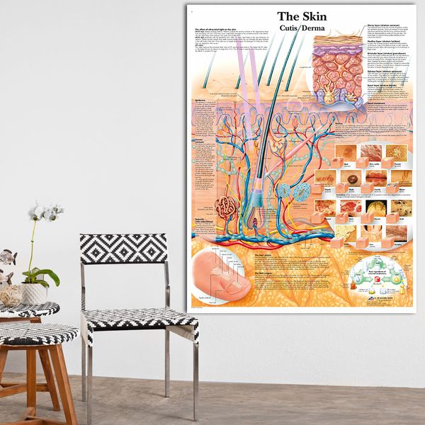 Medical Wall Charts