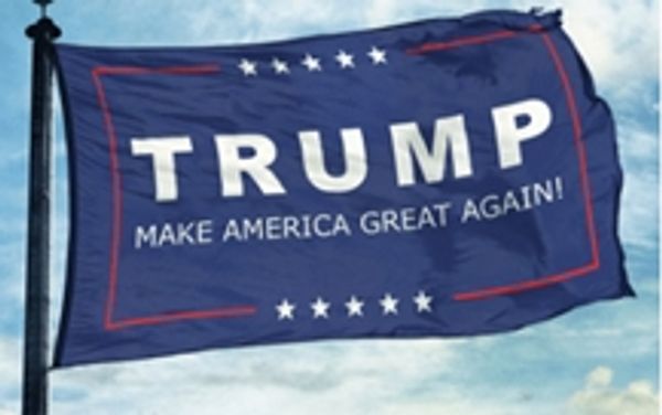 

trump general election flags,flag :90*150cm,100% polyester,gdigital printing