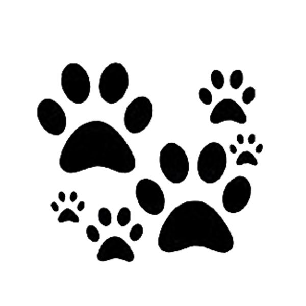 

15*13.2cm paws stickers new style funny car window bumper novelty jdm drift vinyl decal sticker