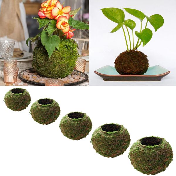 

set of 5 mini garden pot moss ball bonsai decor gardening pot woven 6cm-18cm diameter