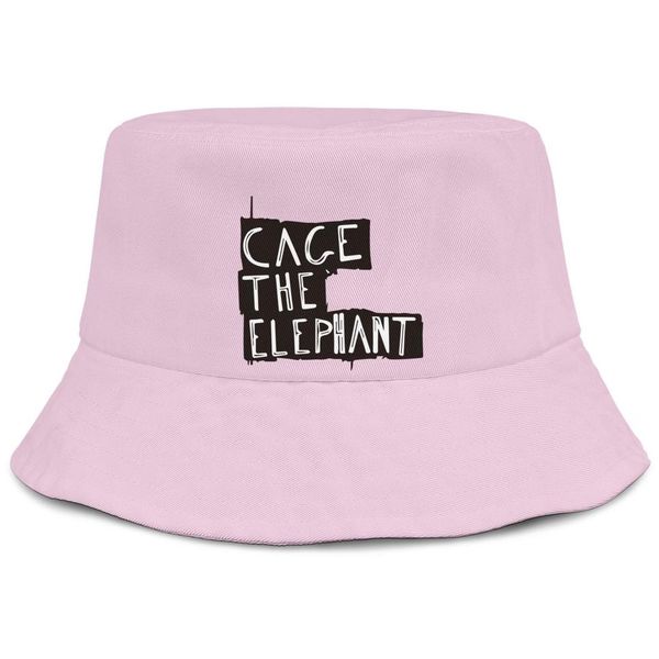 baseball cap cage