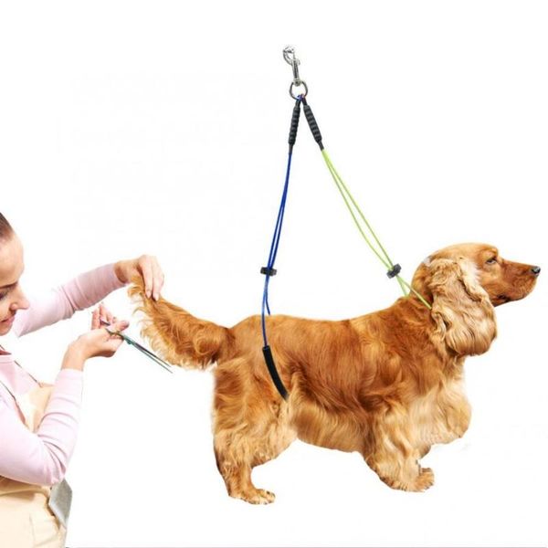 

adjustable pet dog cat grooming loop table pet grooming leash for table loop standing training