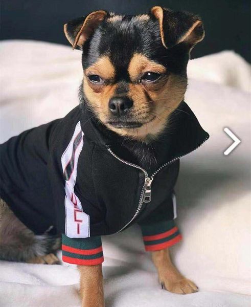 

pet dog clothes sweater collars an embroidery pet trend sweater versatile dogs jacket black custom coat martial arts teddy clothes k13