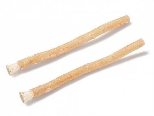 Miswak Spazzolino da denti Pianta autentica Spazzolini da denti Miswaks Rami Spazzolino da denti Pennello arabo Stuzzicadenti Spazzolino africano VT0039