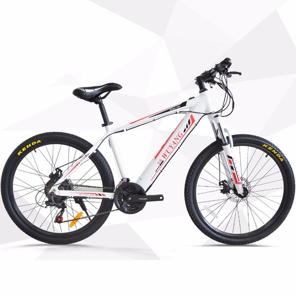 

26inch electric mountain bicycle 48v anti-theft chassis hidden lithium battery front rear suspension ebike 25km/h pas rang 60km, Silver;blue