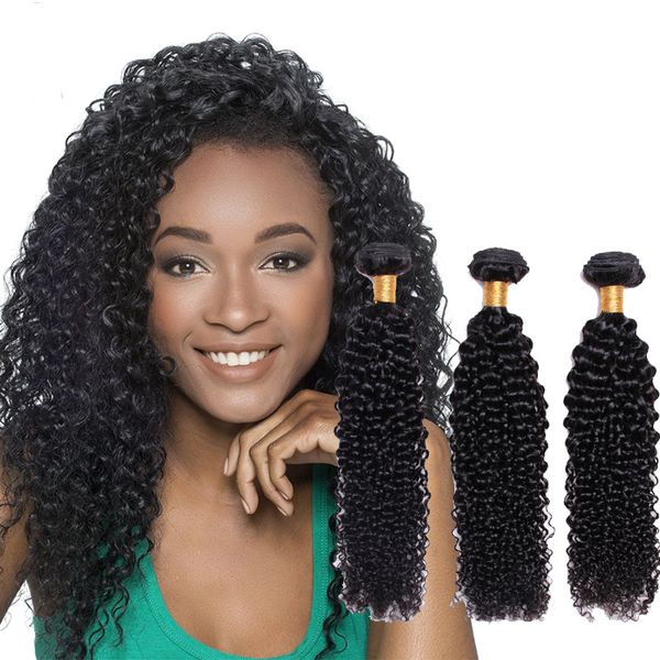 Brazilian Afro Kinky Curly Bundles 100 Human Hair Extensions Hair