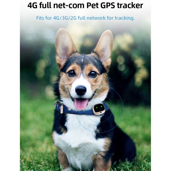 

v43 pet gps locator собак positioning anti-потерянный прибор малый водонепроницаемый anti-потерянный positioning воротник 4g full netcom