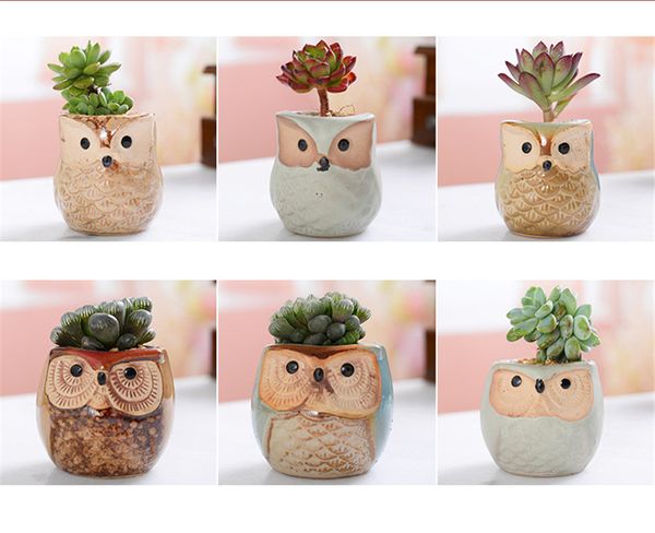 

creative cartoon owl-shaped flower pot succulents fleshy plants flowerpot ceramic for home garden office decoration dhl