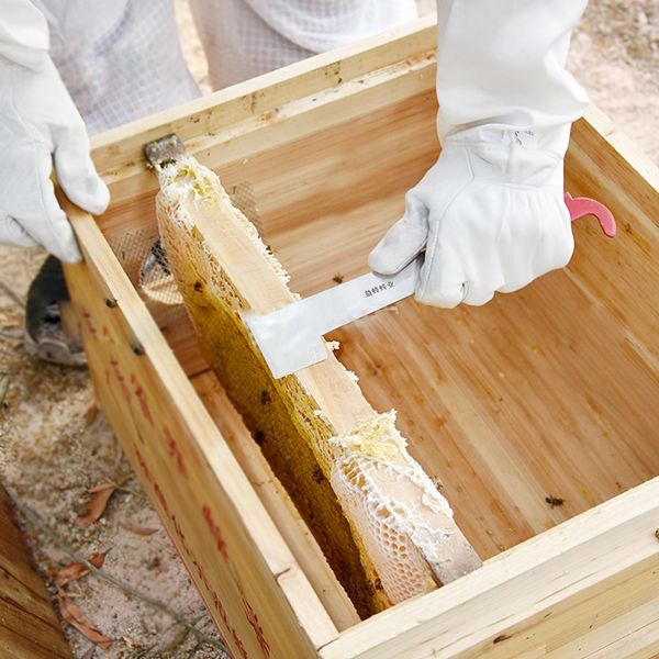 

2pcs multifunctional honey uncapping scraper stainless steel bee hive frame lifter beekeepers beehive extracting tool