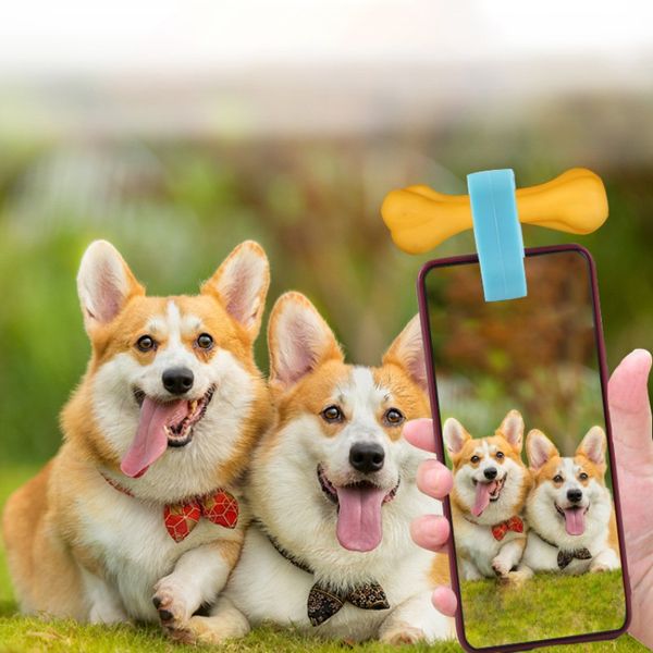 

pet selfie stick smartphone attachment cat dog selfies portraits pets take ps training toys portable pgraphing a
