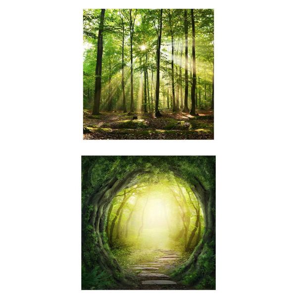 

2pcs modern style 3d wall hanging tapestry decorative tapestries picnic mat