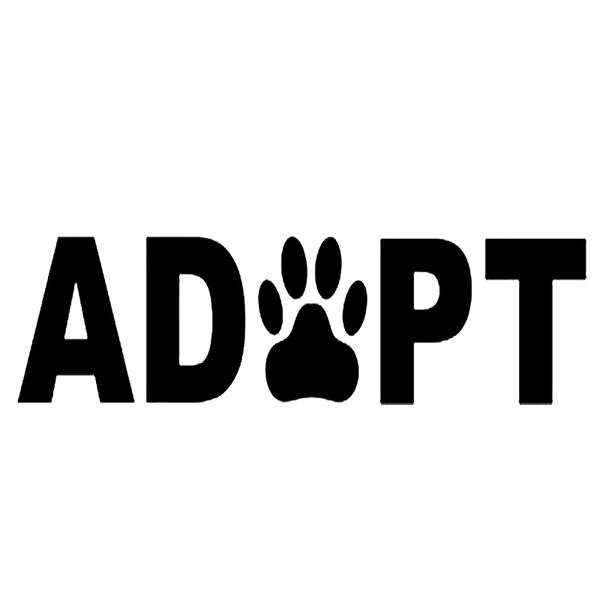 

15 * 4.5 см теплый и вдохновляющий принять животных наклейка на автомобиль / наклейка для ноутбука виниловая наклейка автомобиля декор накле