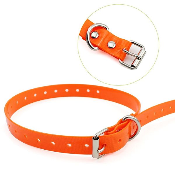 

pet998db, 916,619 strap