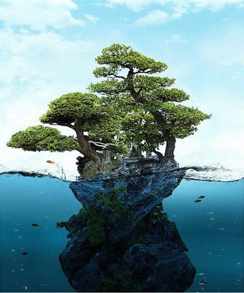 

full square/round drill 5d diy diamond painting "tree" embroidery cross stitch mosaic home decor art experience toys gift a0373
