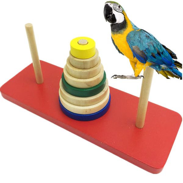 

in large parrot alpinia oxyphylla set circle training mutual action intelligent development pets bird toys articles