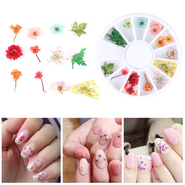 

24pcs/wheel nail art decoration dried flower 3d manicure polish summer real preserved floral leaf mixed dry bloom tips, Silver;gold