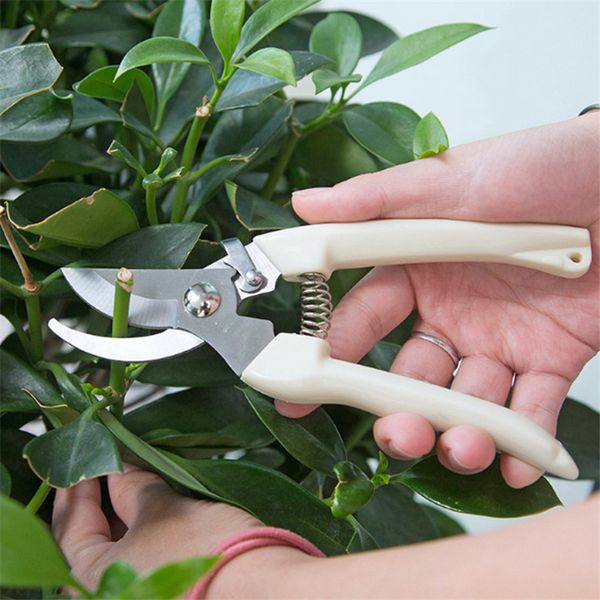 

pruning branches gardening scissors repair cut flower branches tools coarse branches fruit tree scissors wholesale cyq015