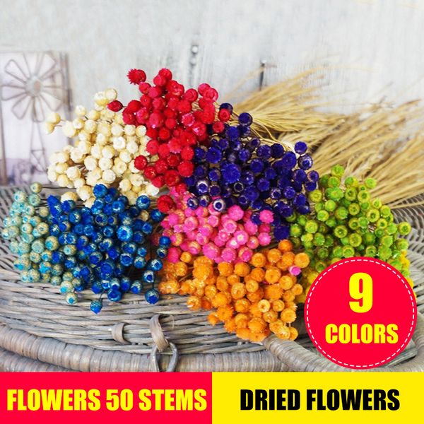 

flowers 50 stems dried flowers for arrangements bundle home decor p props handmade air-drying 2019ing