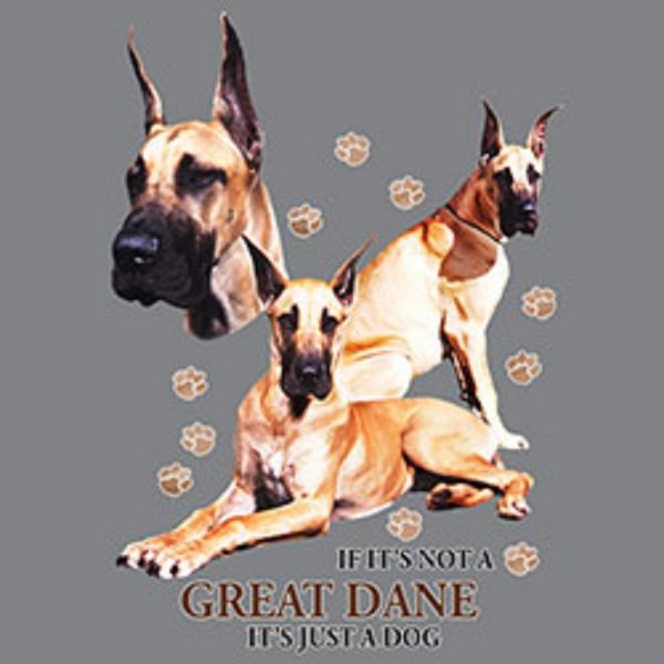 Great Dane Funny Pick Your Size T Shirt Youth Small-6 X Large