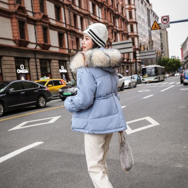 

buy women short style 2019 new winter as korean fashion sweet cats clothing simple pure bread down parka winter 836, Black