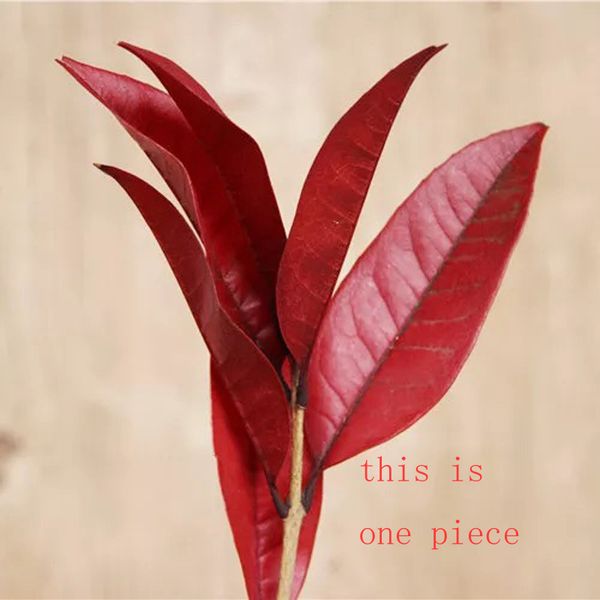 

6ps/lot nature fresh preserved leaf branch,diy eternell floral flower, party wedding favors mariage decoration gift box decor