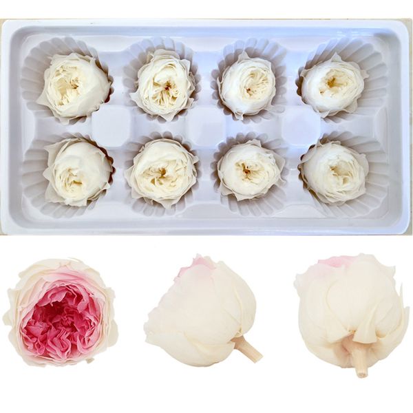 

quot eternal flowers quot austin rose preserved flowers immortal rose diy wedding eternal life flower material gift box level a