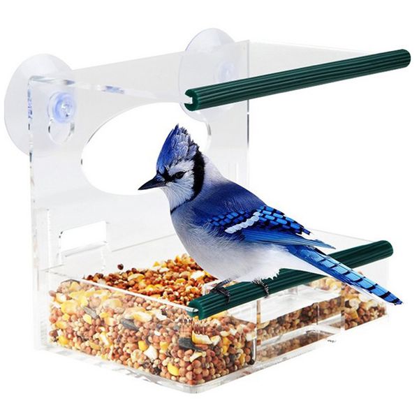 

acrylic transparent bird squirrel feeder tray birdhouse window suction #3