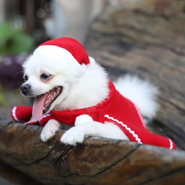 

little dog teddy dog cloak hat dress suit christmas decorations pet clothes dress up