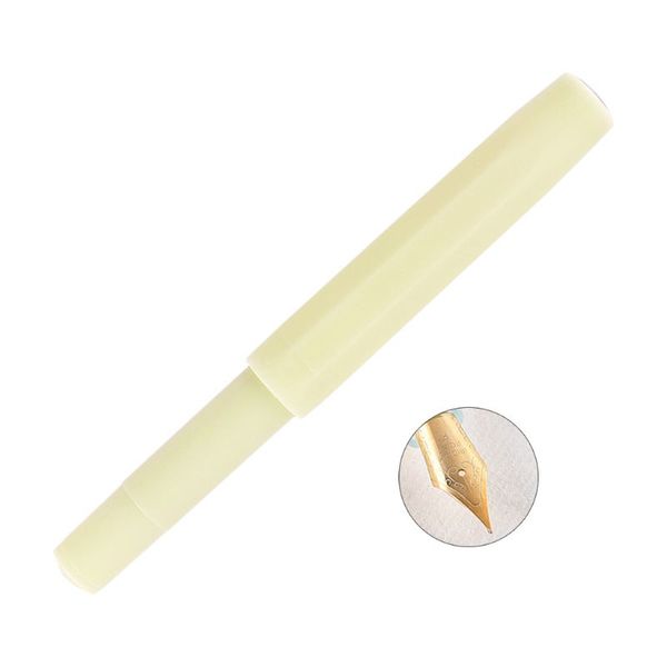 

plastic pocket business travel fountain pen signing pens writing stationery gift