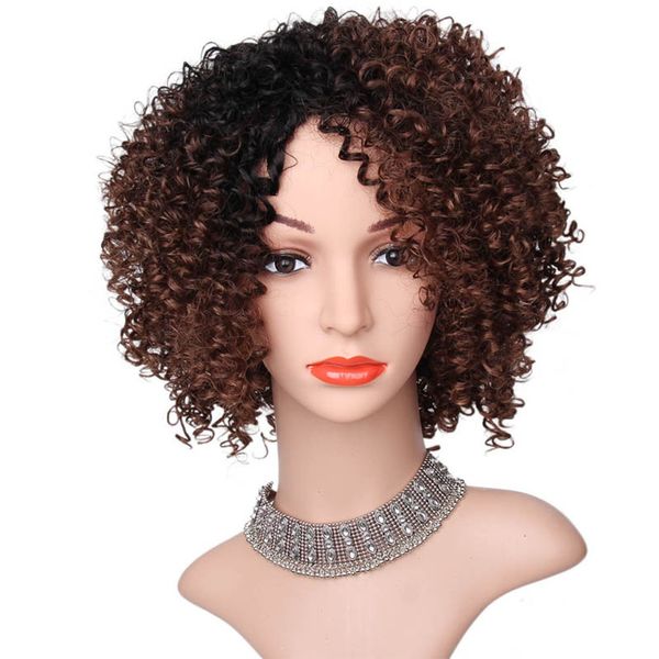 Women Ombre Hairstyle Cosplay Party Curly Wig High Temperature