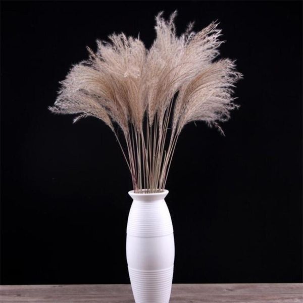 

decorative flowers & wreaths 100 pieces of natural dried reed bunch bouquet flower arrangement wedding holiday party family table decoration