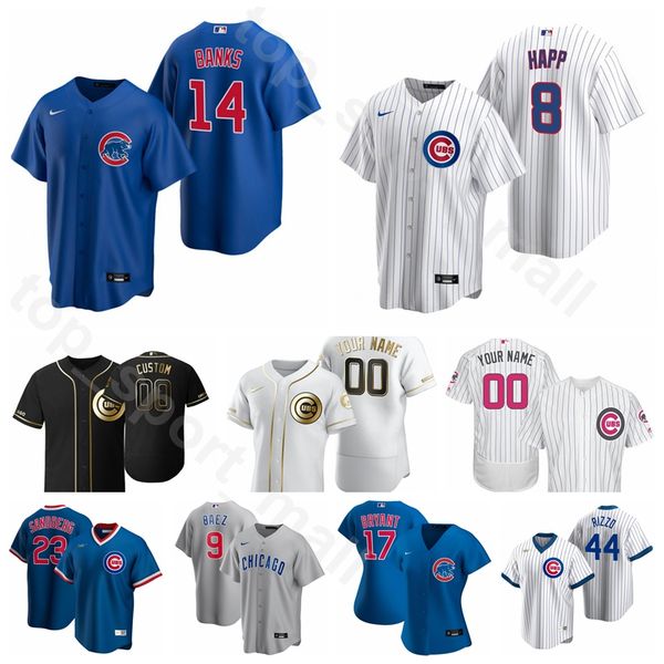 

2020 baseball 14 ernie banks jersey 23 ryne sandberg 26 billy williams 10 ron santo 31 ferguson jenkins 21 sammy sosa andre dawson, Blue;black