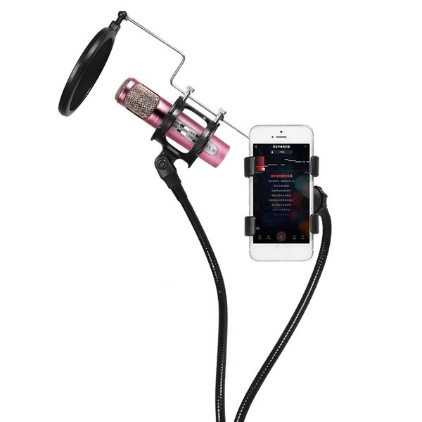 

3-in-1 recording mv professional phone microphone stand support