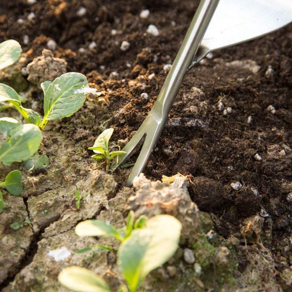 

weeder stainless steel weeding tool nursery fork seedling transplant shovel garden supplies